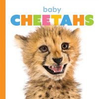 Cover image for Baby Cheetahs
