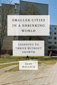 Cover image for Smaller Cities in a Shrinking World