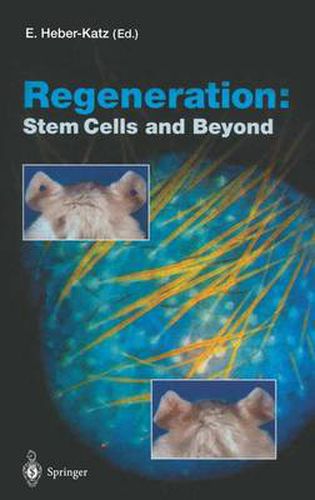 Cover image for Regeneration: Stem Cells and Beyond