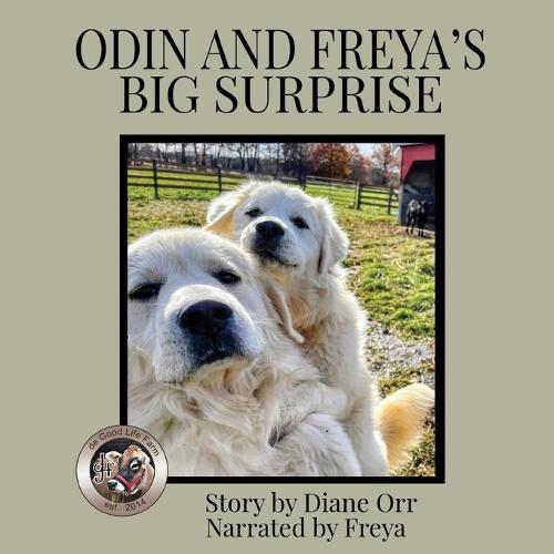 Cover image for Odin and Freya's Big Surprise