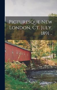 Cover image for Picturesque New London, Ct. July, 1891 ..
