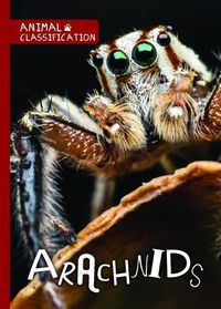 Cover image for Arachnids