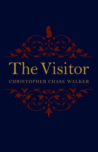 Cover image for Visitor, The