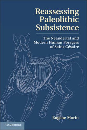 Cover image for Reassessing Paleolithic Subsistence: The Neandertal and Modern Human Foragers of Saint-Cesaire