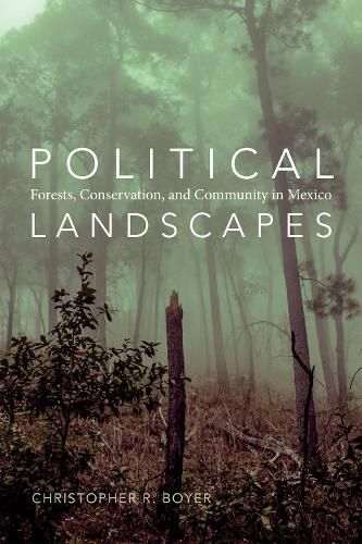 Cover image for Political Landscapes: Forests, Conservation, and Community in Mexico