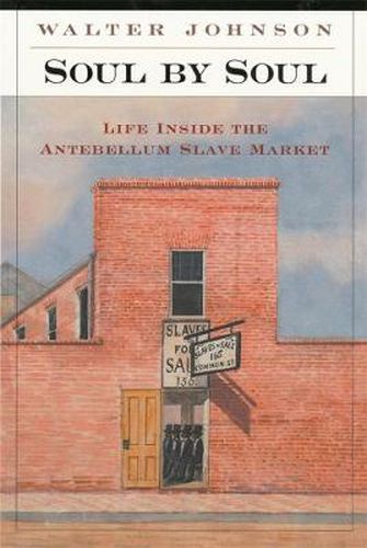 Cover image for Soul by Soul: Life Inside the Antebellum Slave Market