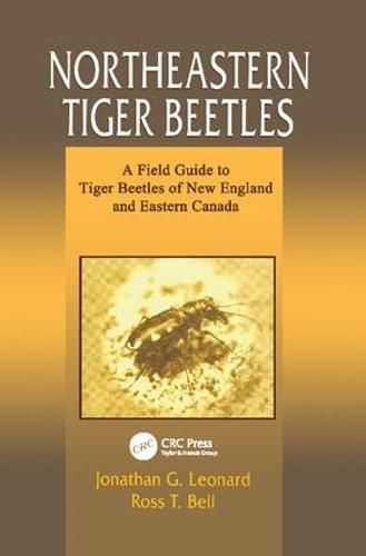 Cover image for Northeastern Tiger Beetles: A Field Guide to Tiger Beetles of New England and Eastern Canada