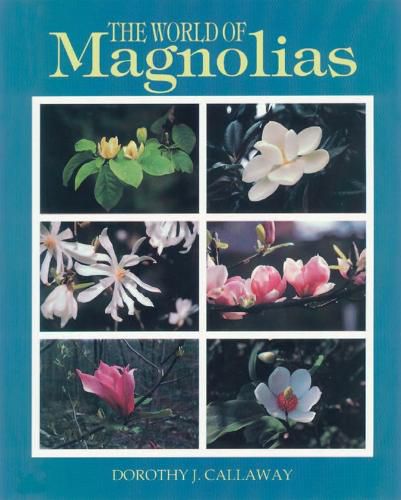 Cover image for The World of Magnolias