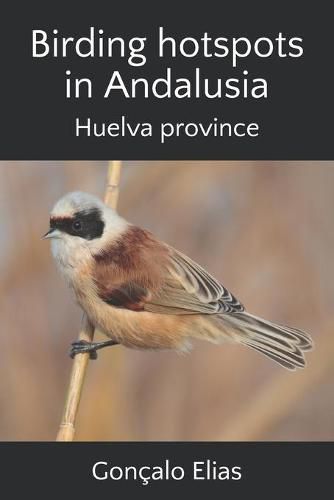 Birding hotspots in Andalusia: Huelva province