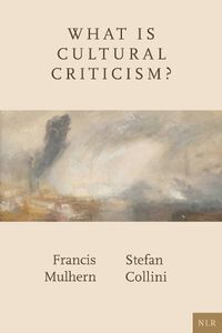 Cover image for What Is Cultural Criticism?