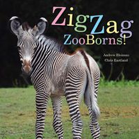 Cover image for ZigZag ZooBorns!: Zoo Baby Colors and Patterns