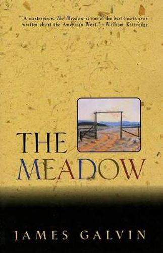 Cover image for The Meadow