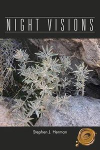 Cover image for Night Visions