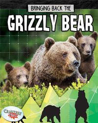 Cover image for Grizzly Bear: Bringing Back The