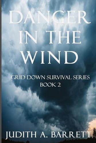 Cover image for Danger in the Wind