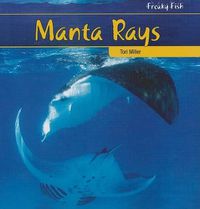 Cover image for Manta Rays