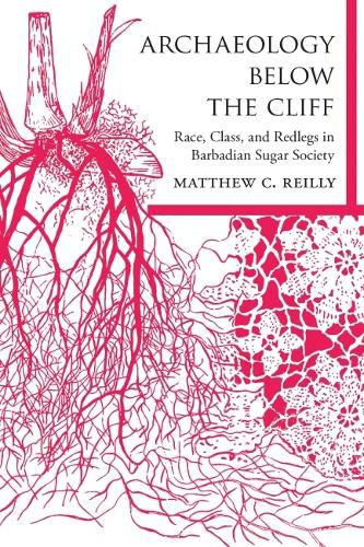 Archaeology below the Cliff: Race, Class, and Redlegs in Barbadian Sugar Society