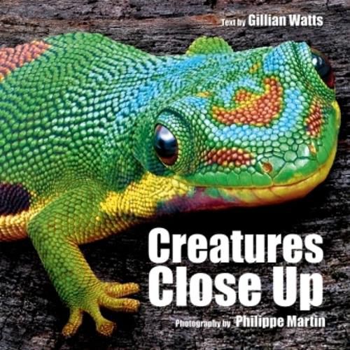 Cover image for Creatures Close Up