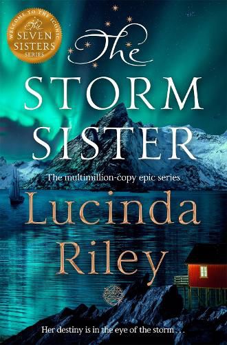 Cover image for The Storm Sister