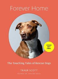 Cover image for Forever Home: The Inspiring Tales of Rescue Dogs