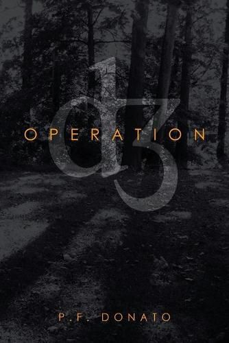 Cover image for Operation D3