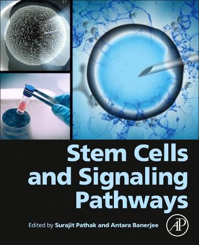 Cover image for Stem Cells and Signaling Pathways