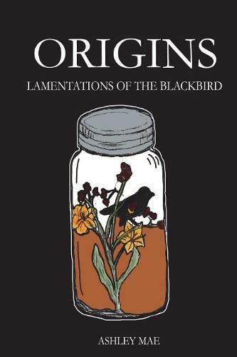 Cover image for Origins: Lamentations of the Blackbird