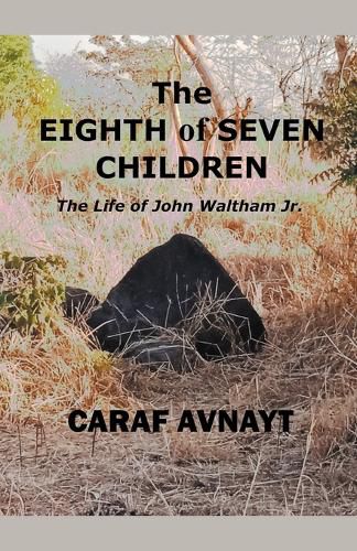 Cover image for The Eighth of Seven Children