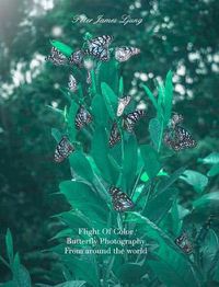 Cover image for Flight of colorButterfly Photographers