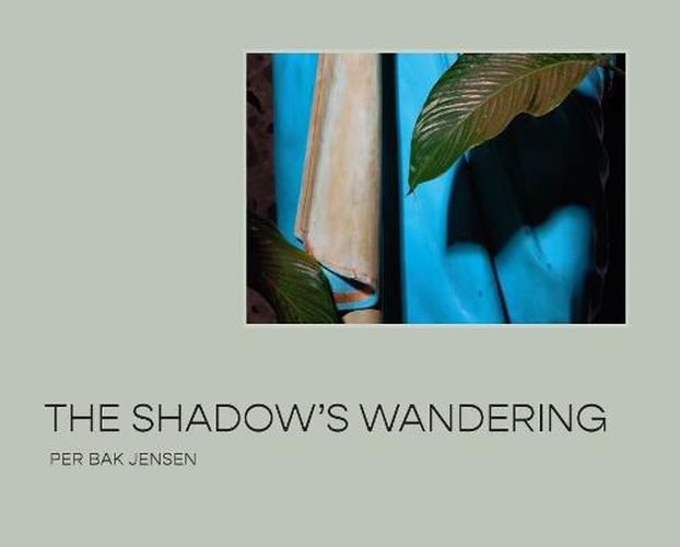 Cover image for The Shadow's Wandering