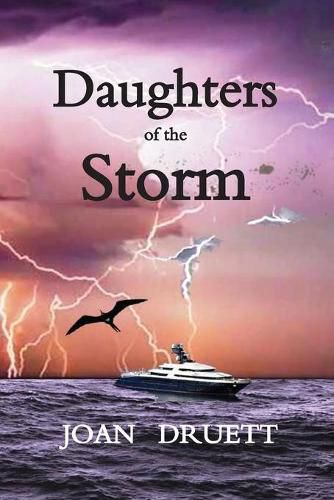 Cover image for Daughters of the Storm