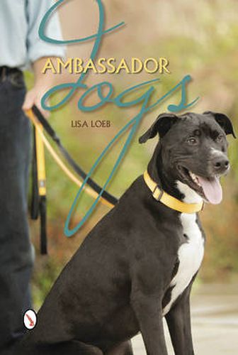 Cover image for Ambassador Dogs