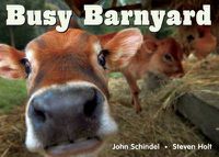 Cover image for Busy Barnyard