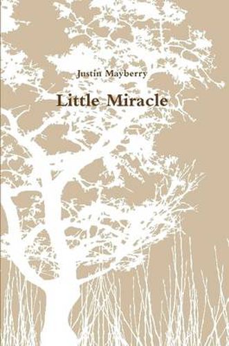 Cover image for Little Miracle