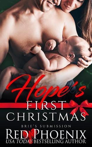 Cover image for Hope's First Christmas