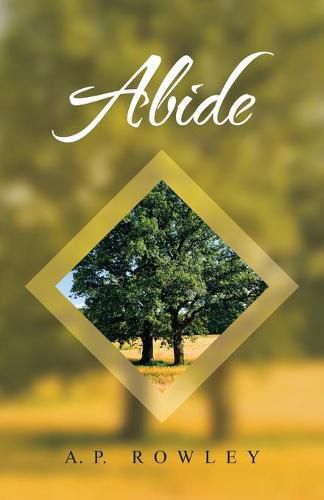 Cover image for Abide