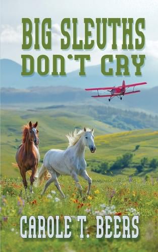 Cover image for Big Sleuths Don't Cry