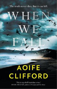 Cover image for When We Fall
