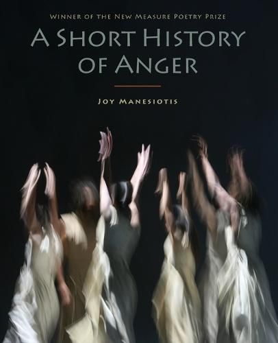 Cover image for A Short History of Anger