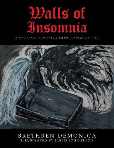 Cover image for Walls of Insomnia: In My Darkest Moments, I Am But a Shadow of You