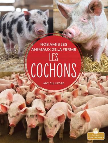 Cover image for Les Cochons
