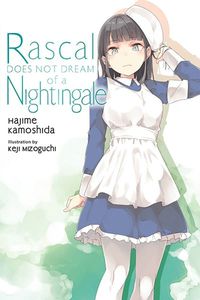 Cover image for Rascal Does Not Dream, Vol. 11 (light novel)