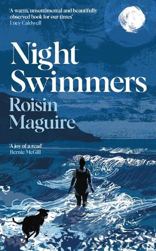 Cover image for Night Swimmers