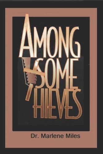 Cover image for Among Some Thieves