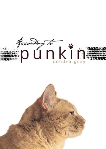 Cover image for According to Punkin
