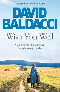 Cover image for Wish You Well