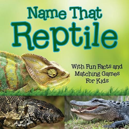 Cover image for Name That Reptile: With Fun Facts and Matching Games For Kids