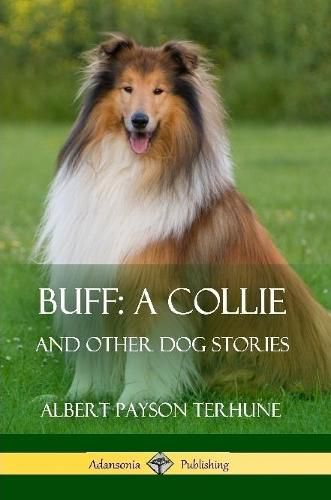 Cover image for Buff; A Collie