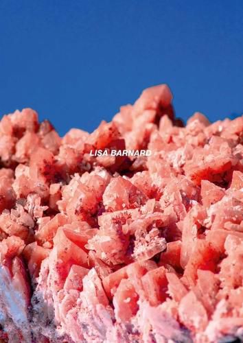 Cover image for After Nature Ulrike Crespo Photography Prize 2025 - Lisa Barnard