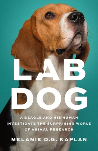 Cover image for Lab Dog